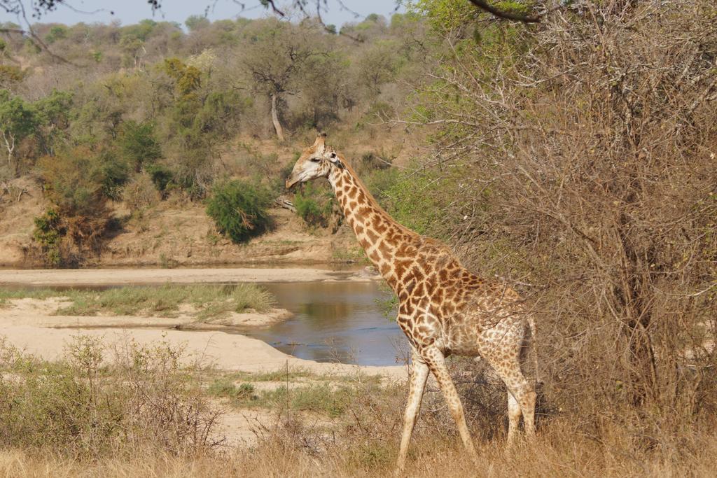 Kruger River Holiday Home Marloth Park Exteriér fotografie