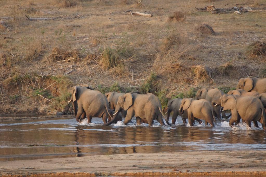 Kruger River Holiday Home Marloth Park Exteriér fotografie